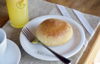 bosque_90 (Copy).png