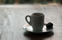 bosque_134 (Copy).png