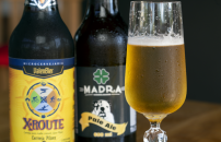 bosque_124 (Copy).png