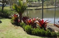 DSCF0718 1.jpg