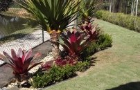 DSCF0716 1.jpg