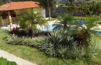 DSCF0732 1.jpg