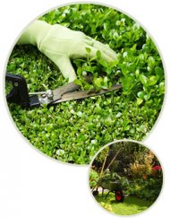 img-jardinagem.jpg