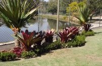 DSCF0715 1.jpg